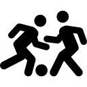 明锦柳
